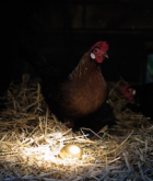 foto, studie foto, on location